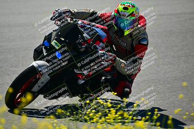 media/May-10-2024-2WTD (Fri) [[c88d7990af]]/Group B/Session 2-The Bowl/